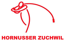 Hornussergesellschaft Zuchwil